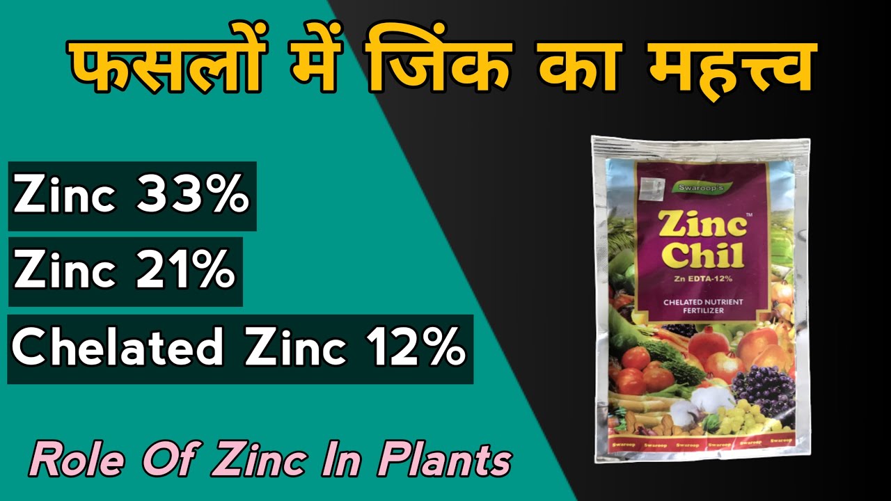 Zinc Fertilizer For Plants | Zinc Sulphate 33%, 21% | Chelated Zinc EDTA 12% | ज़िंक का महत्व