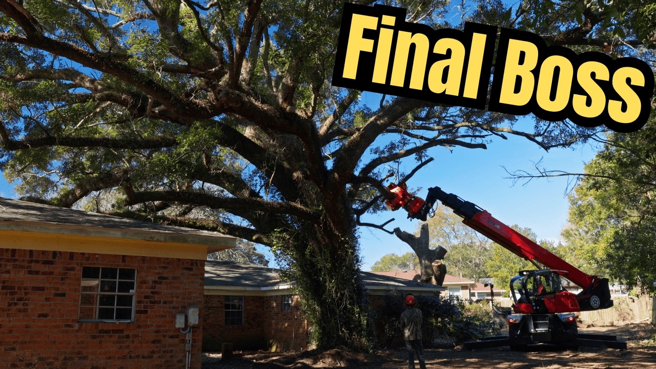 This Tree Canopy Was a QUARTER ACRE Wide! | Oak Removal