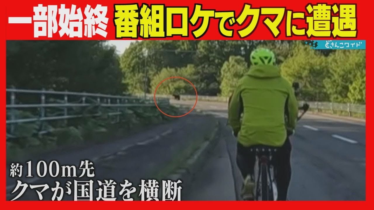 番組ロケでクマに遭遇　自転車で走行中に国道横断　撮影中断し車で避難　札幌テレビ撮影班