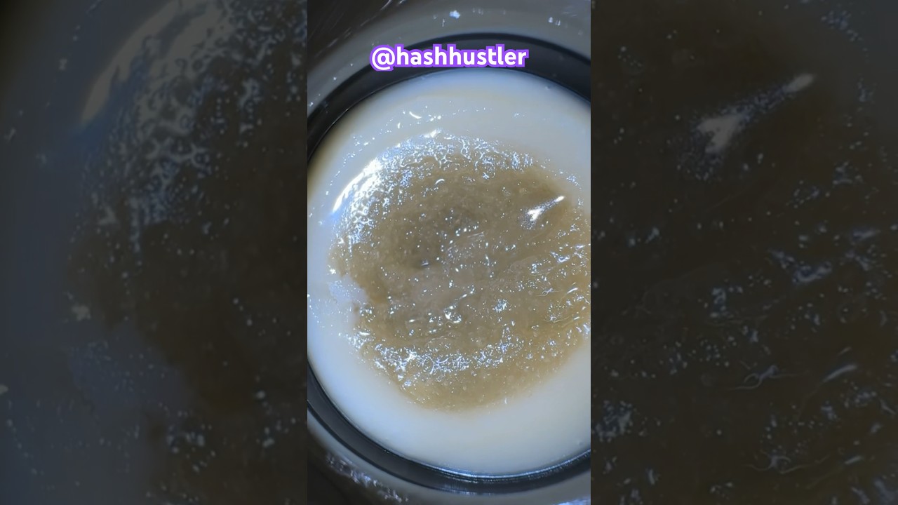 710Labs Chocolate Oranges 25 + PJR 5 Close Friends 2g Jar! 🔥🔥🔥 #710labs #hashrosin