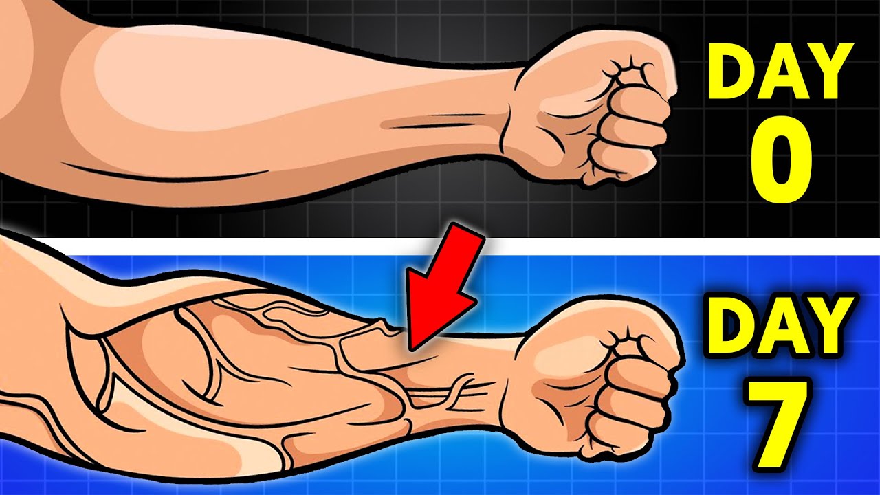 10 Key Habits For VEINY Arms