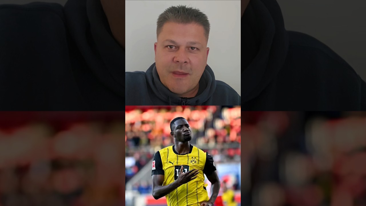 THE 60 SECOND SPURS NEWS UPDATE: Senesi Called Up for World Cup, van Hecke, Porro, Serhou Guirassy