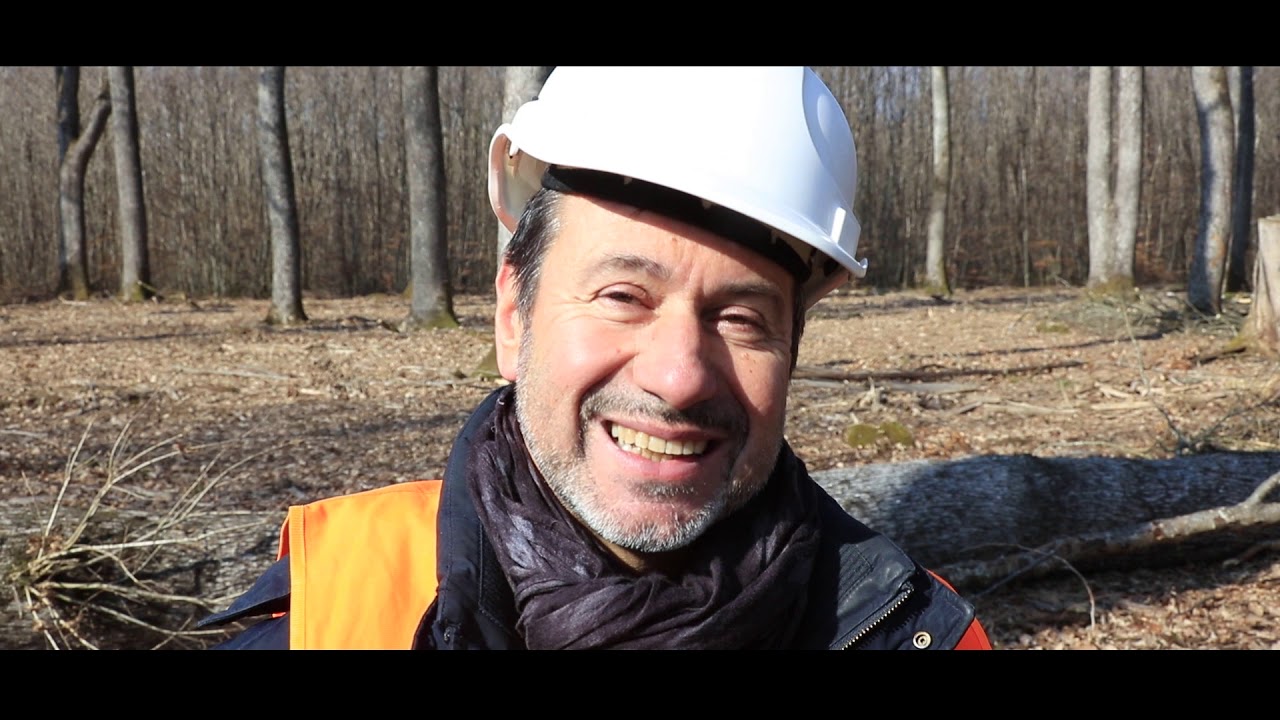 visite parcelle 256 Forêt Domaniale de Darney
