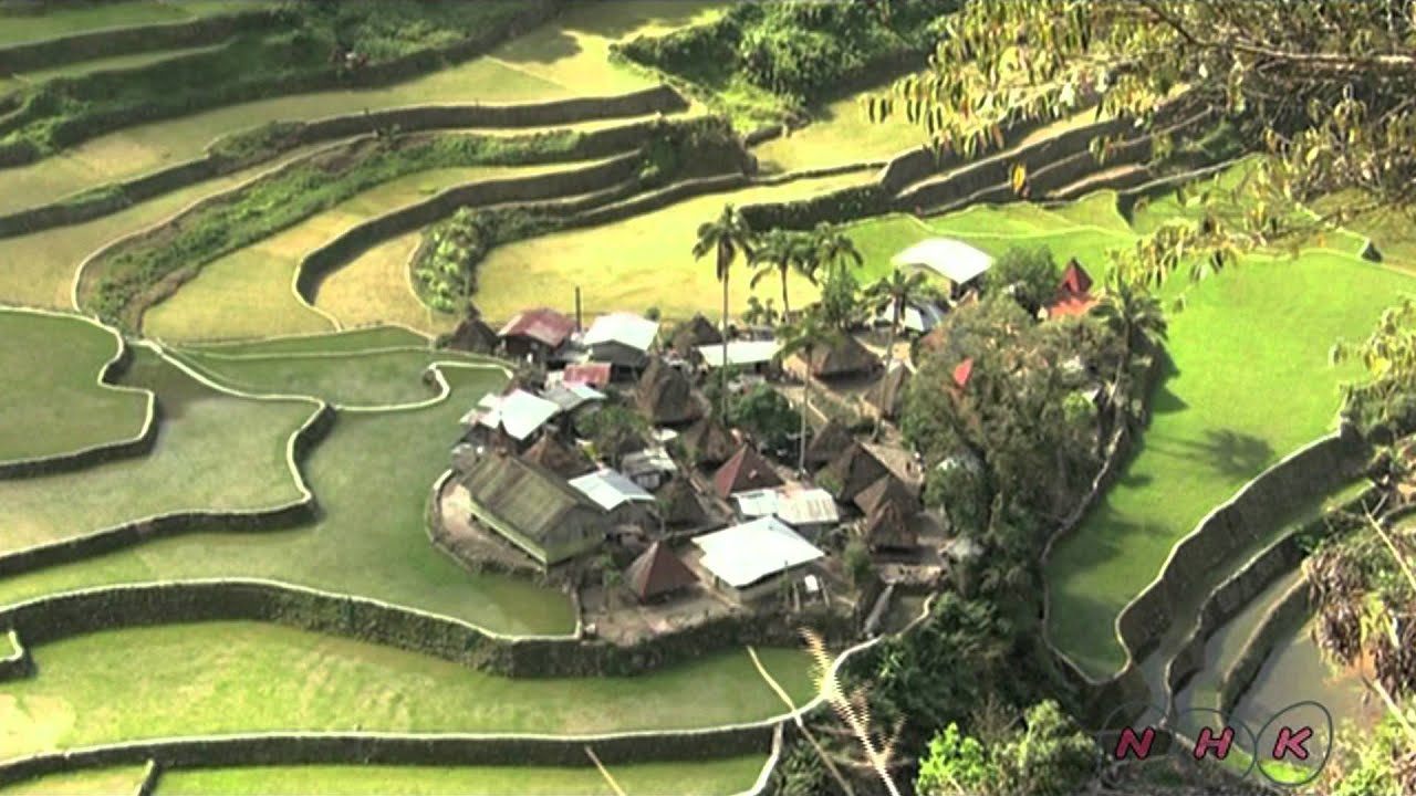 &lsquo;Behind Food Sustainability&rsquo; Exhibition -Trailer