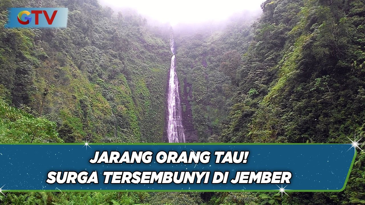 Air Terjun Tancak Tulis Surga Tersembunyi yang Wajib Dikunjungi saat di Jember - BIP 12/09