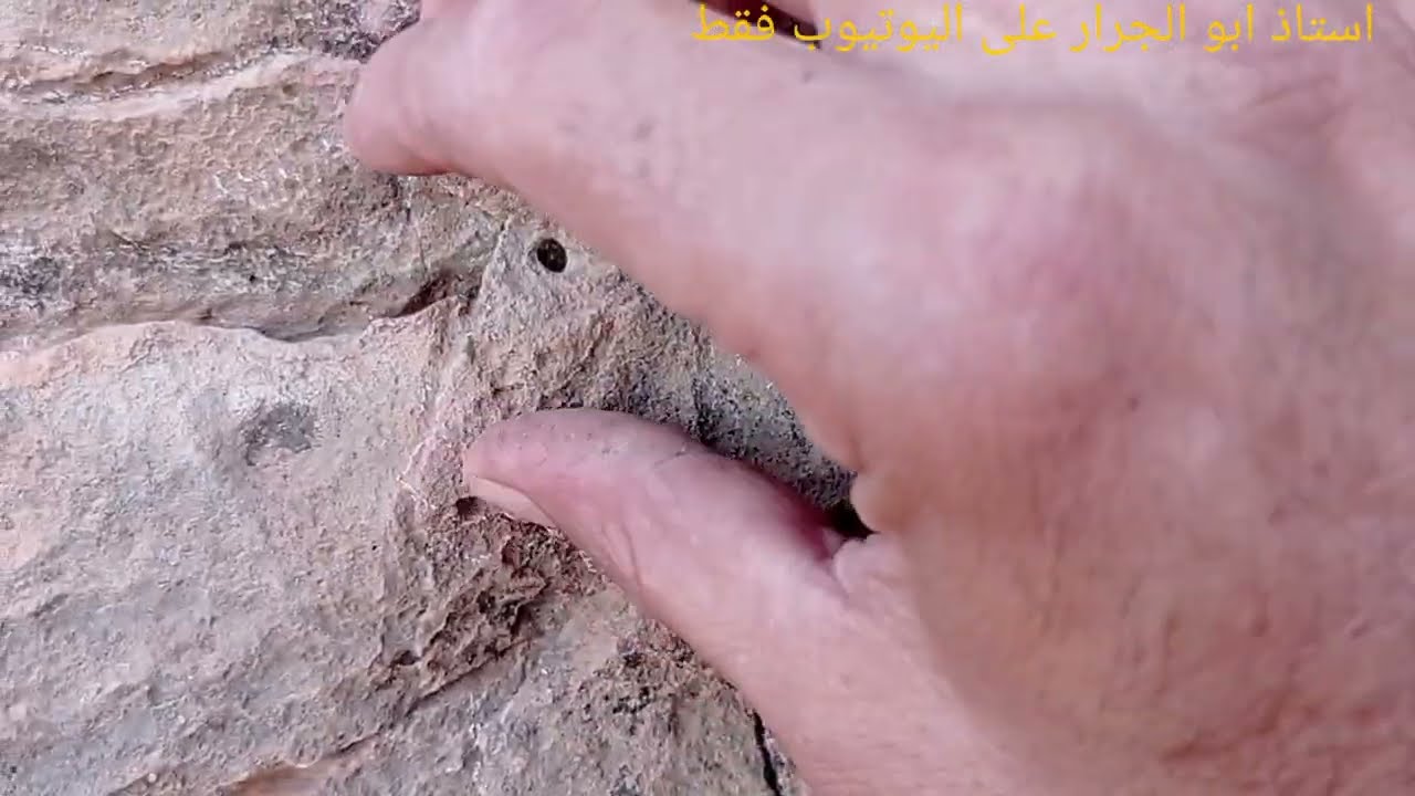 اشارة الران مجسم مغارة مع الوصف والتحليل منطقي مع  الاستاذ ابو الجرار