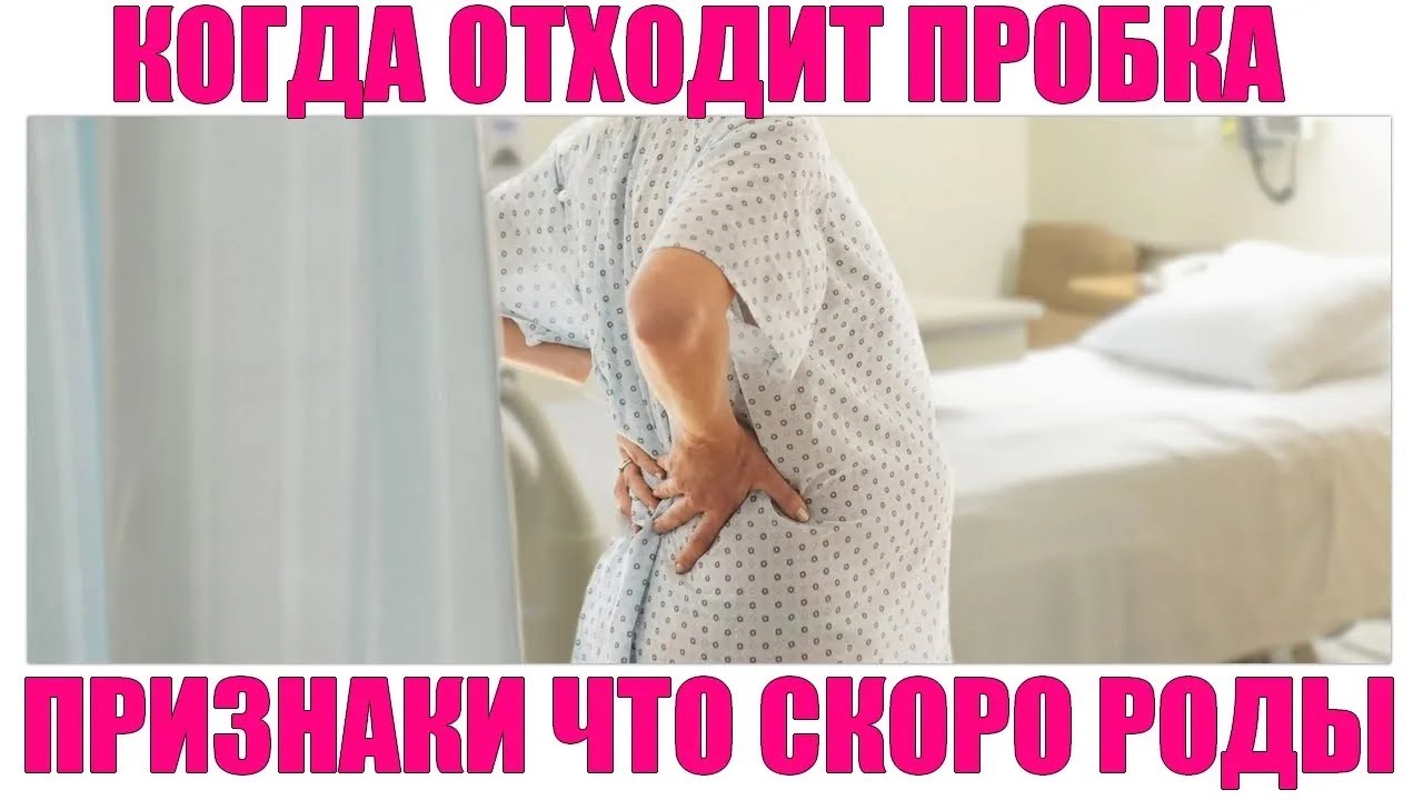 ОТХОЖДЕНИЕ СЛИЗИСТОЙ ПРОБКИ ПЕРЕД РОДАМИ | Когда начнутся роды после отхождения слизистой пробки