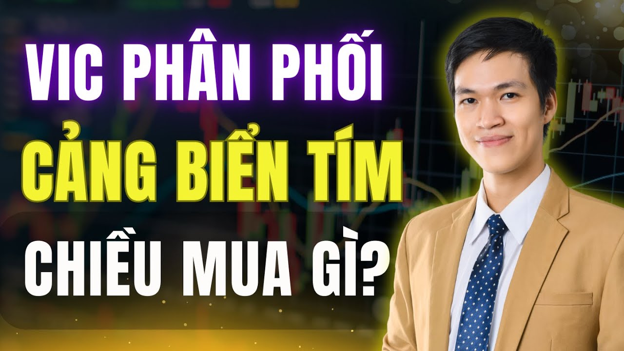 Họ Vin Phân Phối: Cảng Biển Tăng Trần – Top Cổ Phiếu Mua Đẹp Đón Sóng
