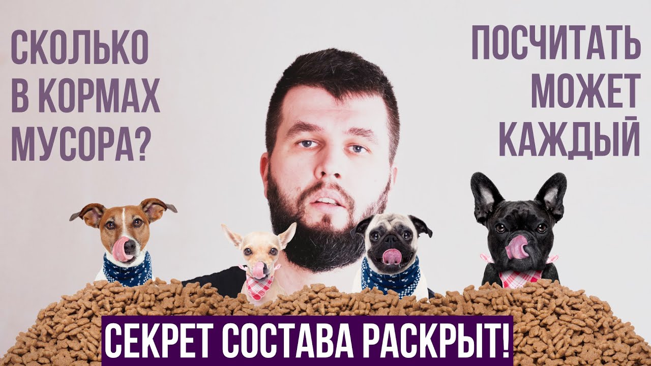 Как посчитать ингредиенты в составе корма?