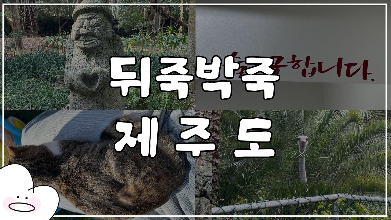 🍊제주에서 일주일🍊ㅣ서쪽부터 동쪽까지ㅣ제주 VLOG