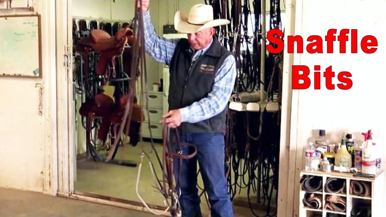 Types Of Snaffle Bits For Training Horses