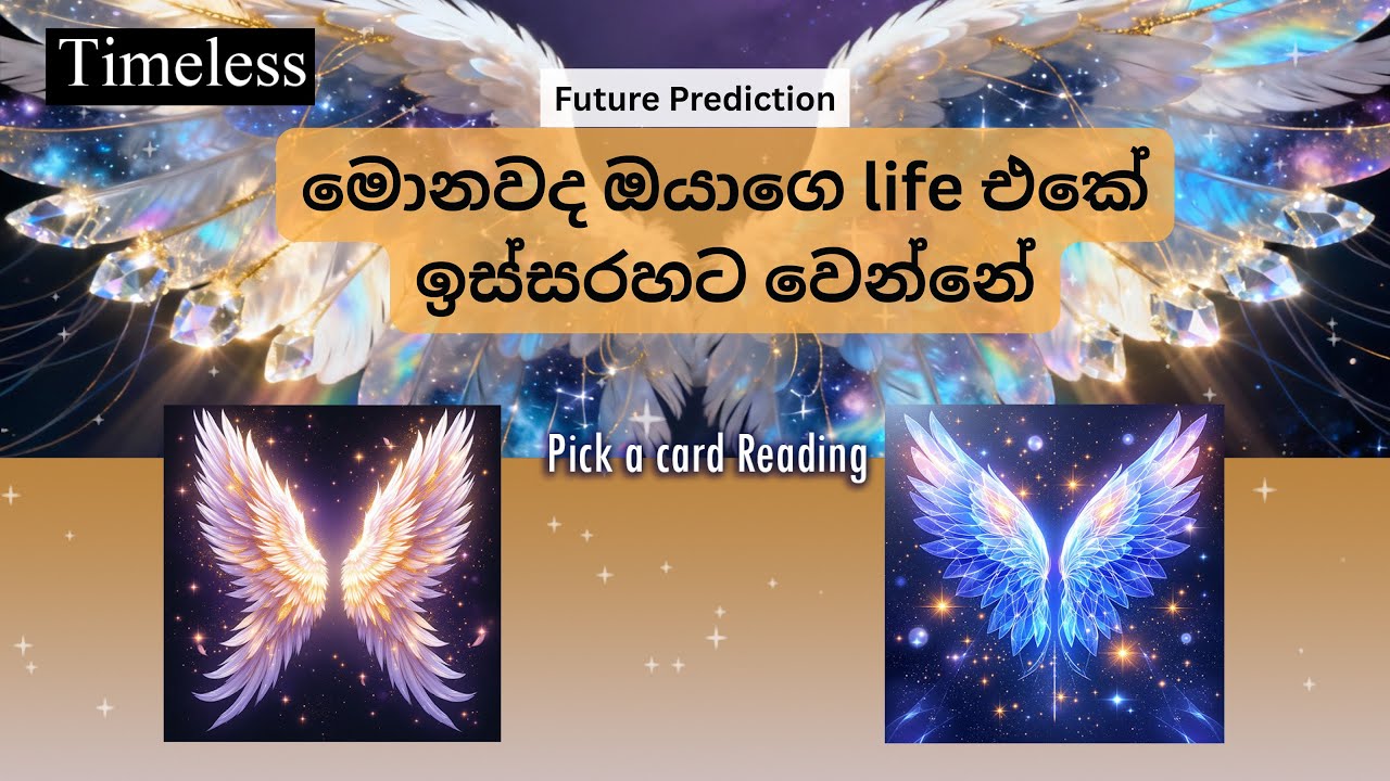 මොනවද ඔයාගෙ life එකේ වෙමින් පවතින්නේ🔮🧿|Future Prediction 🔮The fallen goddess