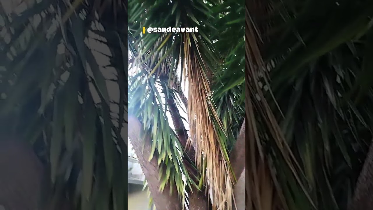 Avant Sa&uacute;de, agora em Campinas -SP