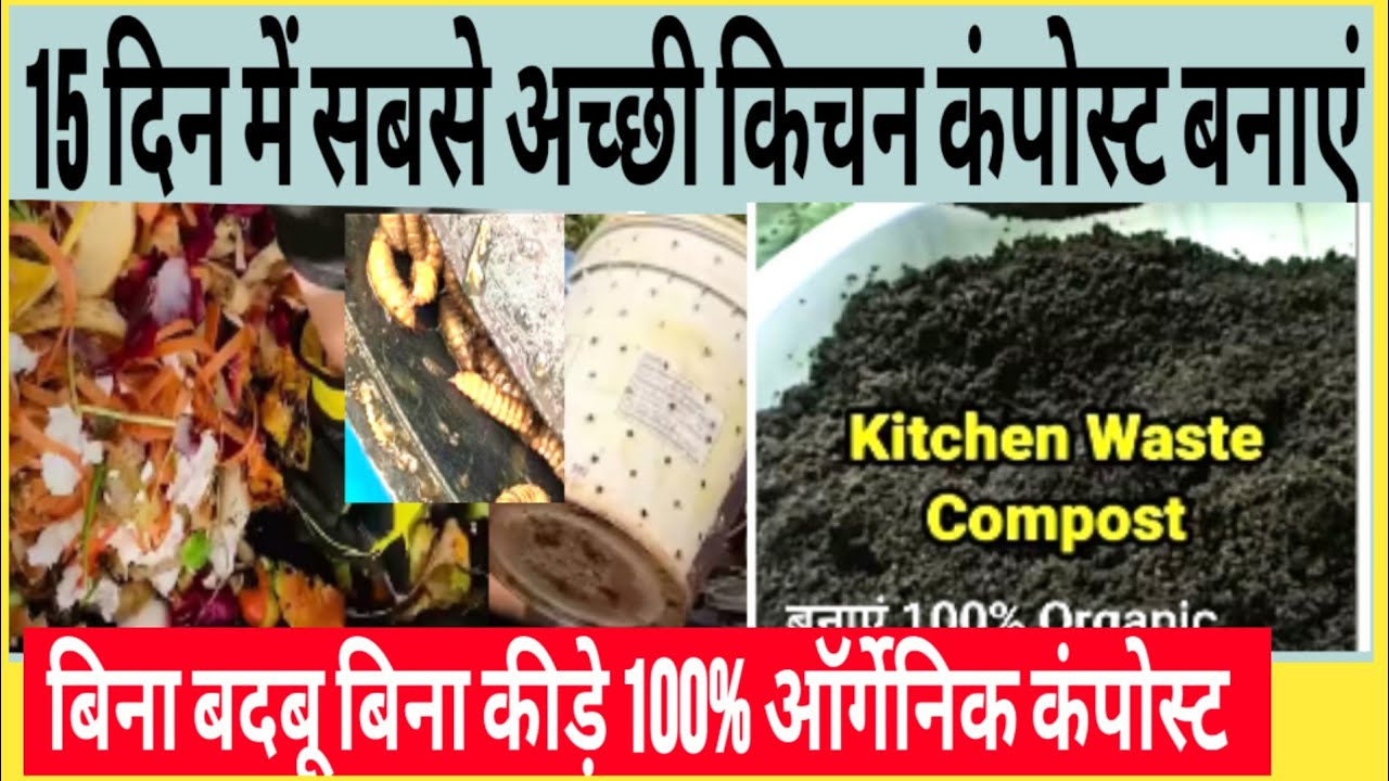 15 दिन में किचन के कचरे से बनाती हूं कंपोस्ट 100% बिना बदबू कीड़े के कंपोस्ट बनाओ इस तरीके से