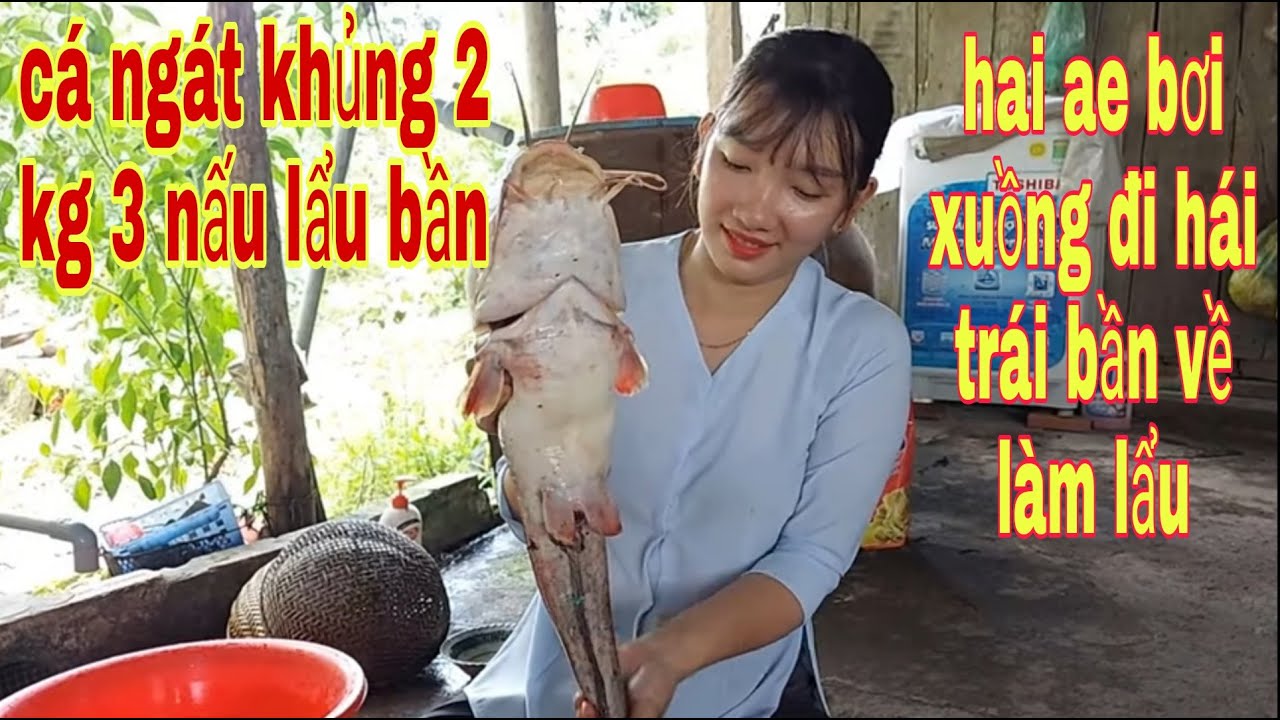 Cá Ngát Khổng Lồ Nấu Lẩu Bần # SĂN BẮT ĐỒNG THÁP #