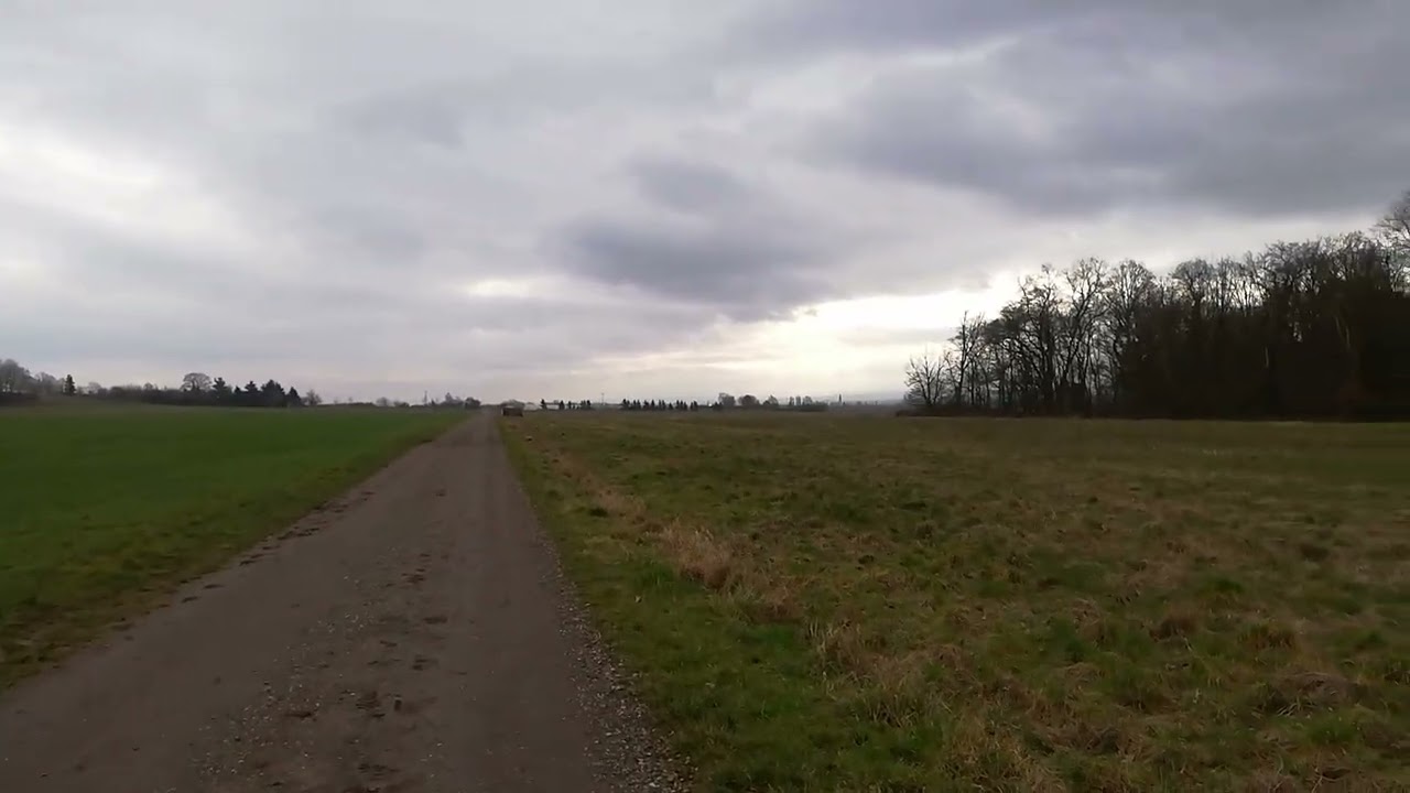Spaziergang am Freitag 