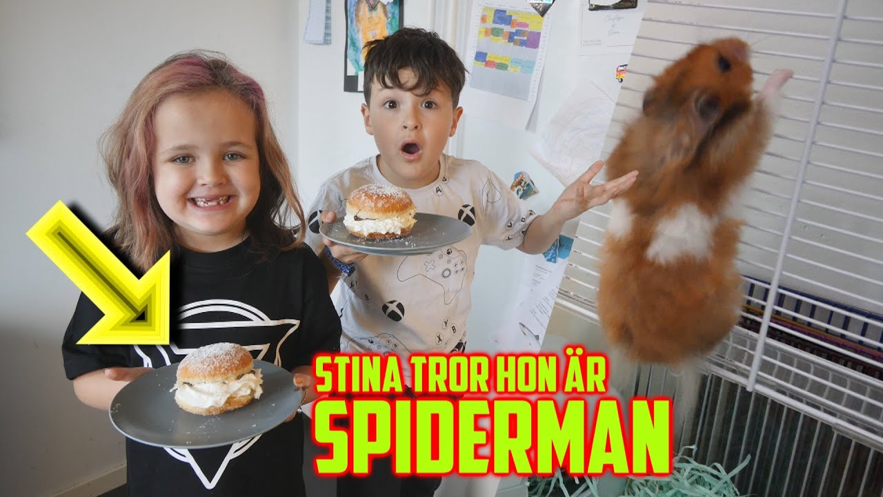 Hamstern Rymmer  - Flyttkaos - Vardags VLOGG