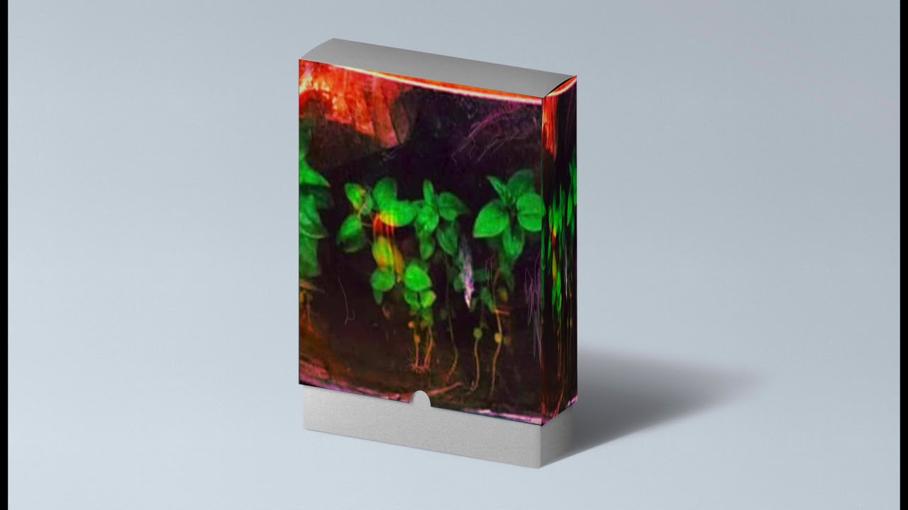 FREE TRAP LOOP Kit 