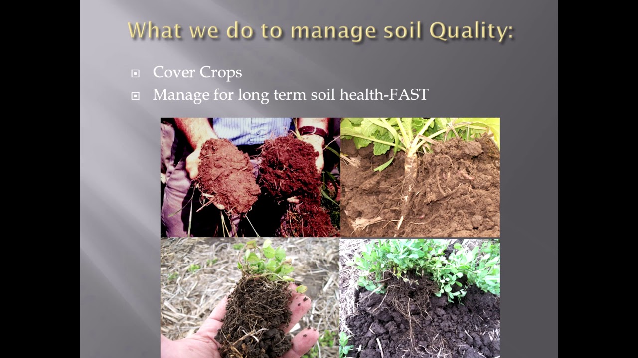 Selecting and Establishing Cover Crops - Rodney Rulon