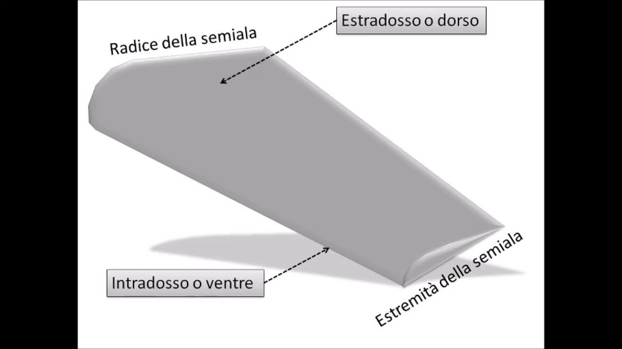 2   l'aereoplano e le varie parti