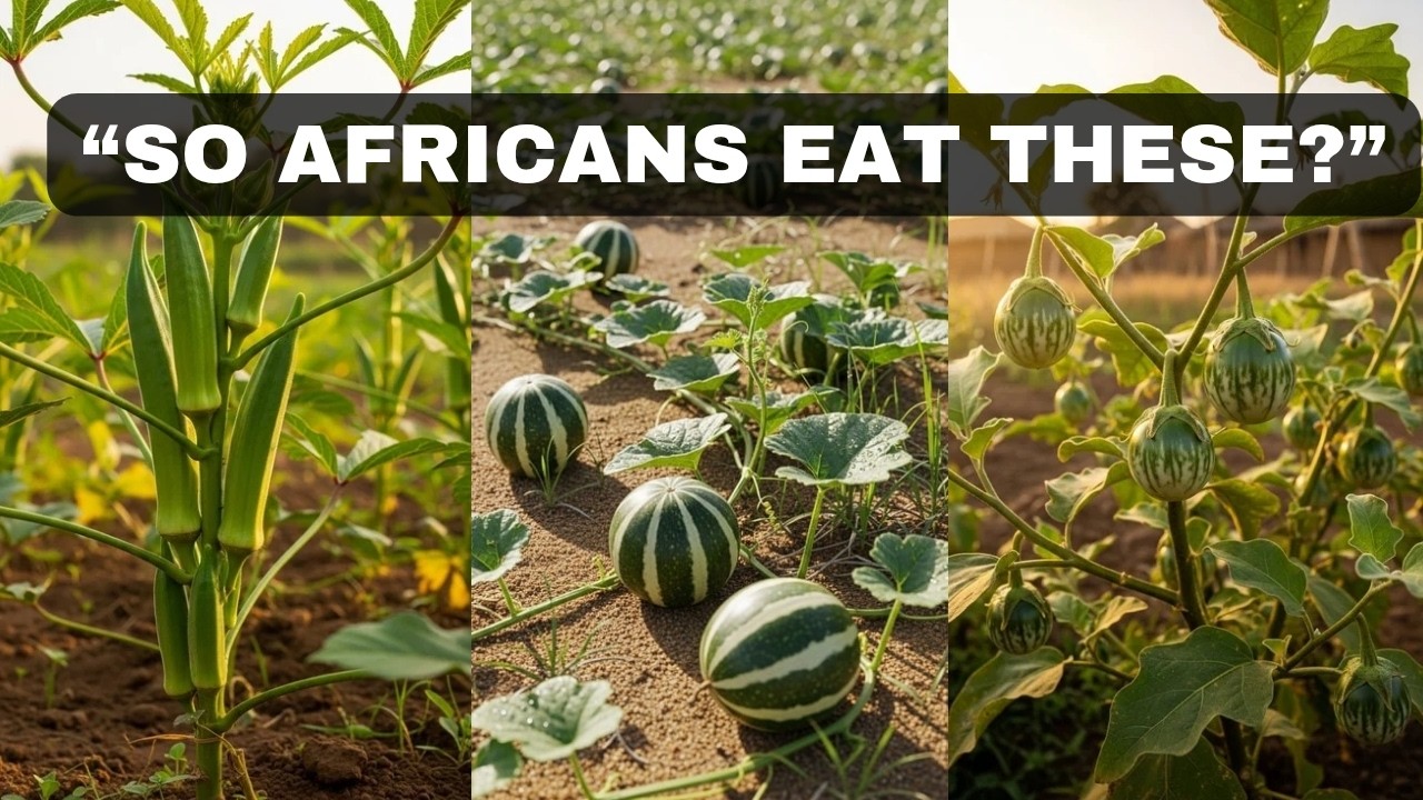9 Secret Vegetables Africans Grew 500 Years Ago (Stronger Than Modern Crops)