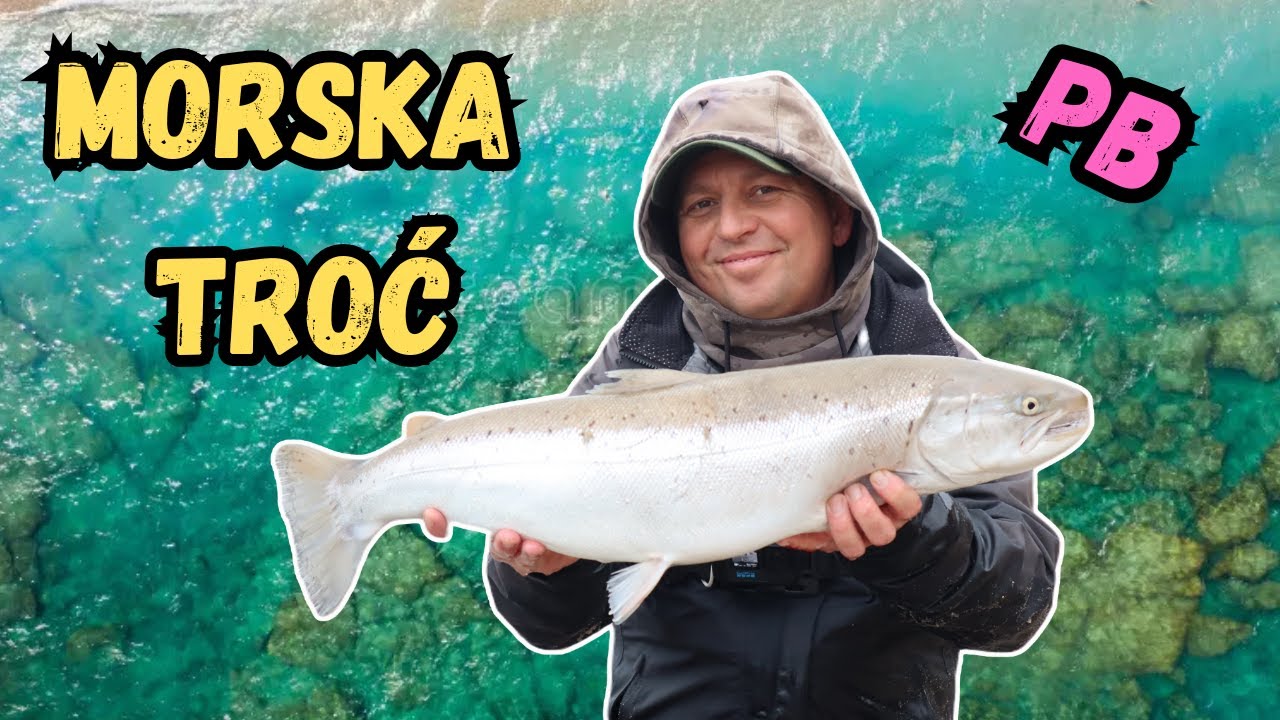 STADO DUŻYCH TROCI PODESZŁO DO BRZEGU. MOJA ŻYCIÓWKA Z BRZEGU. [DUŻO BRAŃ] [ MORSKIE TROCIE ]