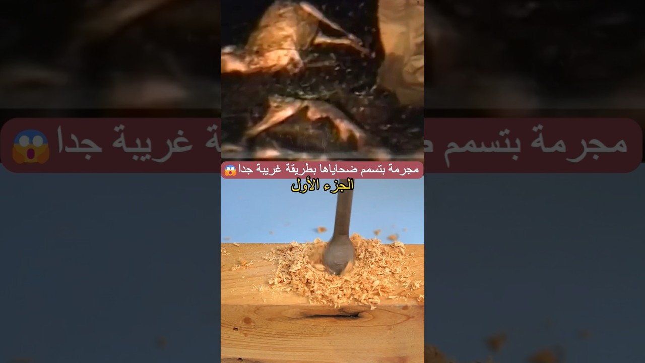 الجزء الأول (١) #قصص #قصص_واقعية #قصص_قبل_النوم