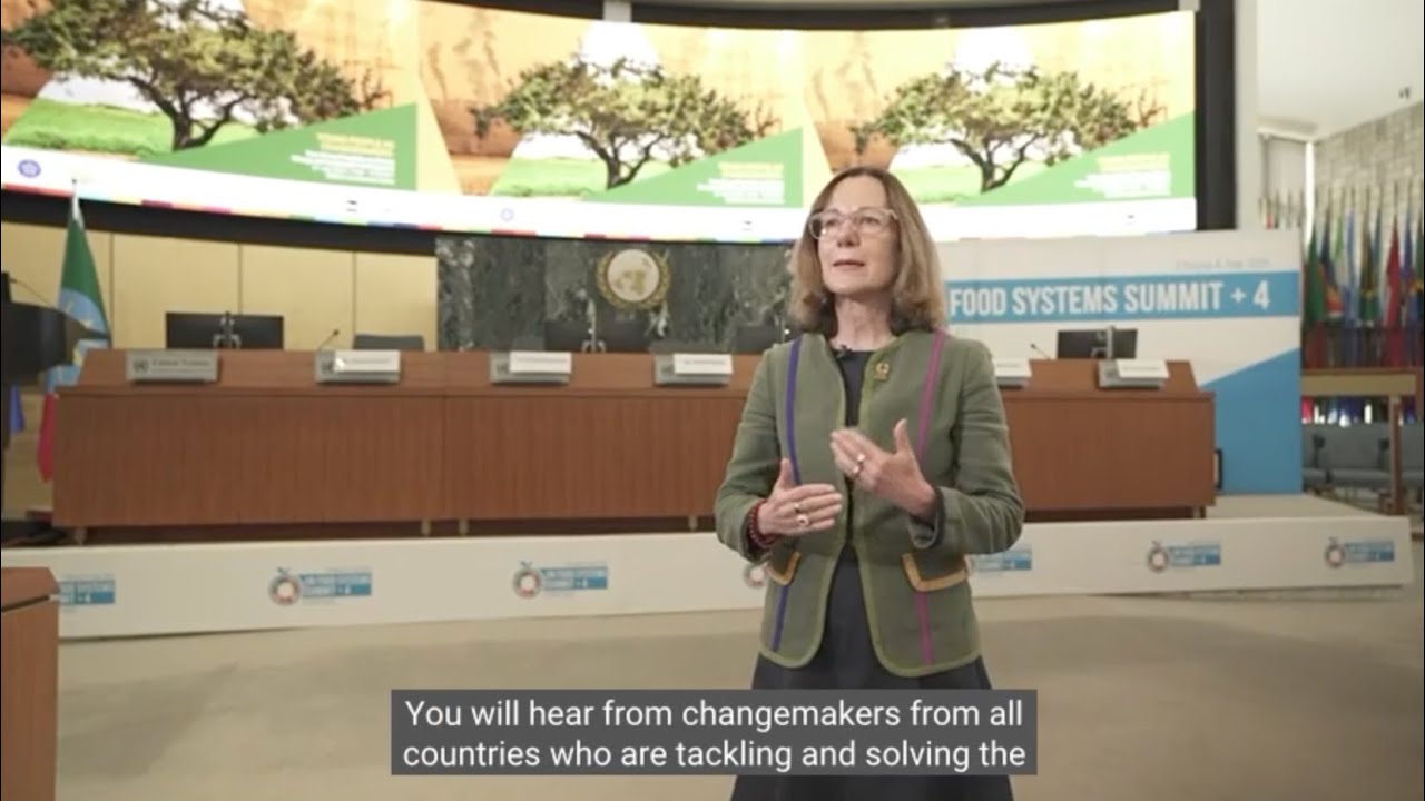 Interview with Marina Ponti | Global Director | UN SDG Action Campaign | @RaiNews | #UNFSS2025