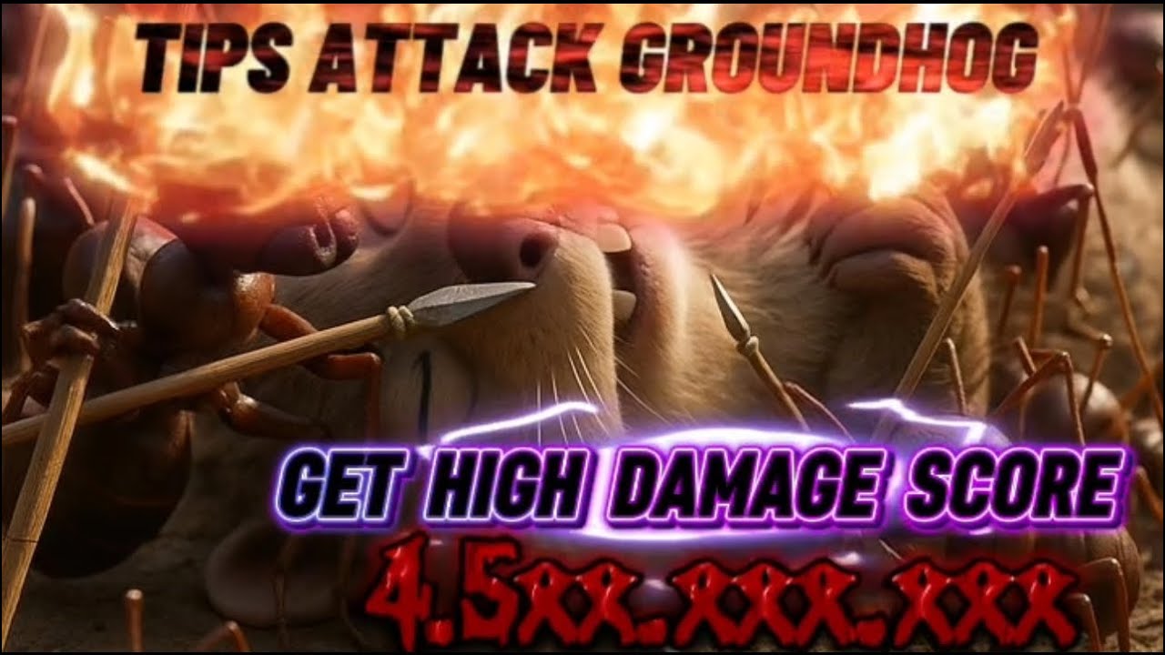 TIPS MENYERANG GROUNDHOG😱😨| HIGH DAMAGE !!
