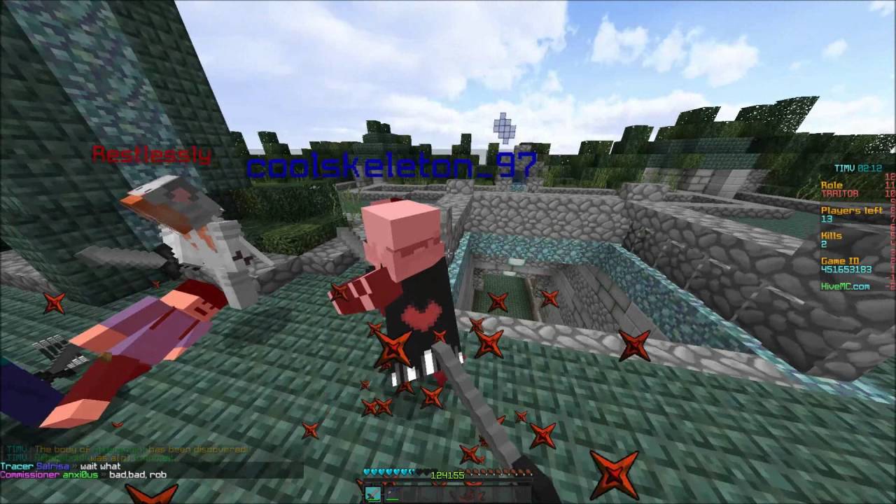 TIMV MONTAGE | 