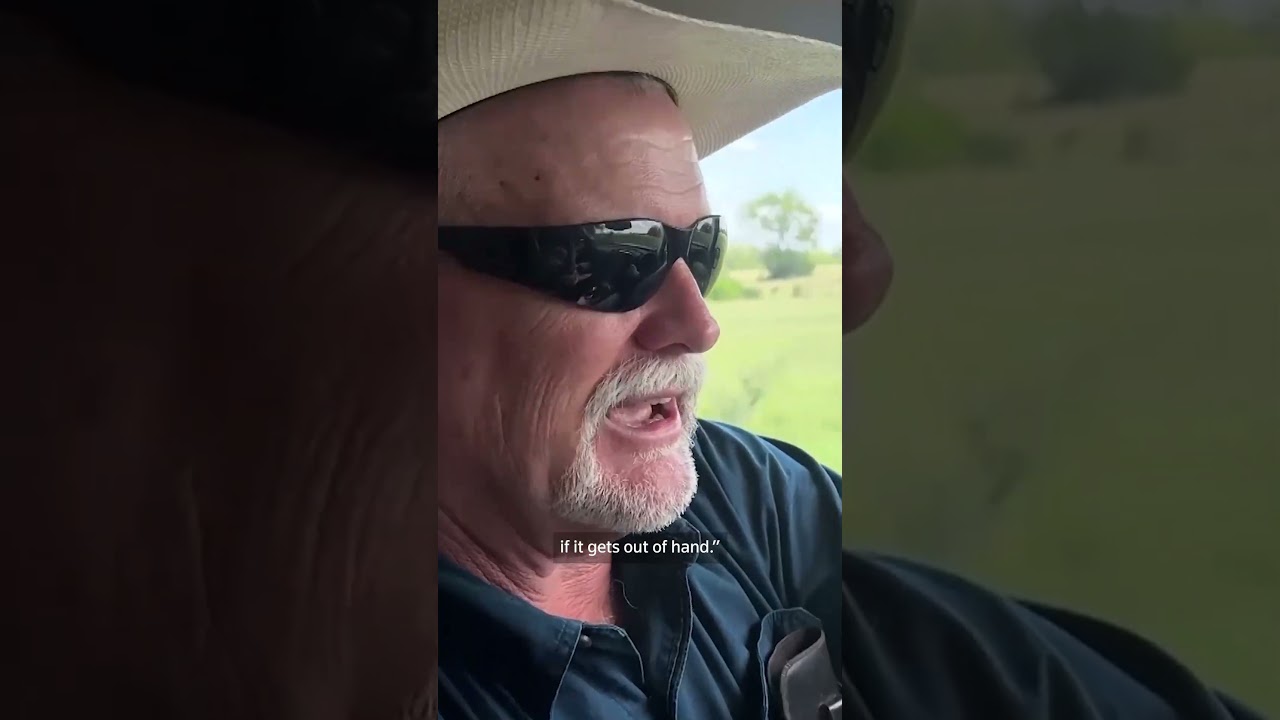 Texas ranchers brace for outbreak of flesh-eating screwworms