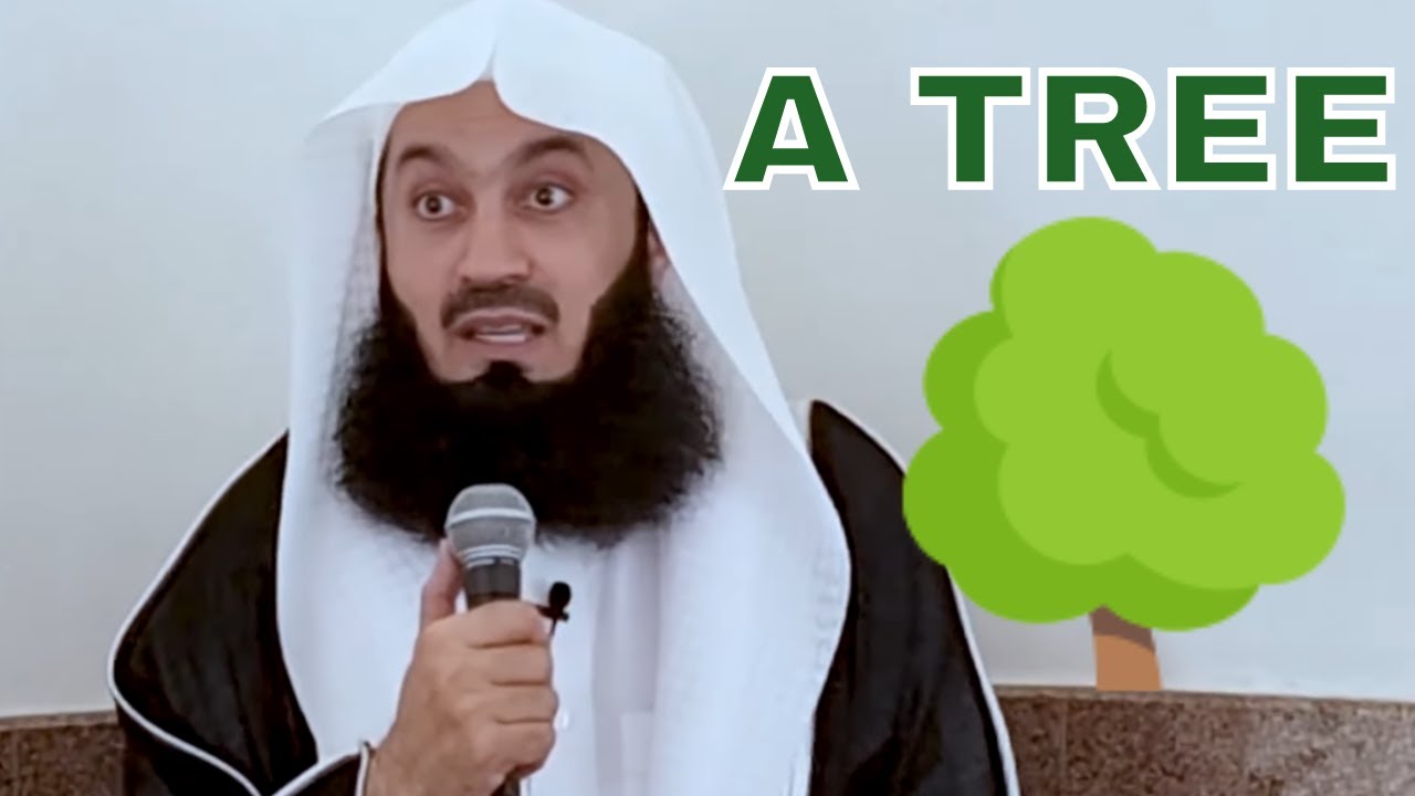 What happens when you Plant a Tree 🌳  - Mufti Menk