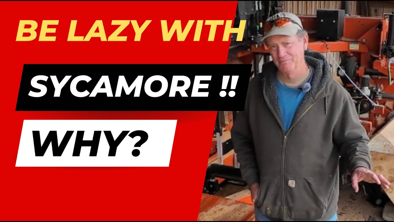 Pass the SPALT Please!  Sawmilling Incredible Sycamore Lumber