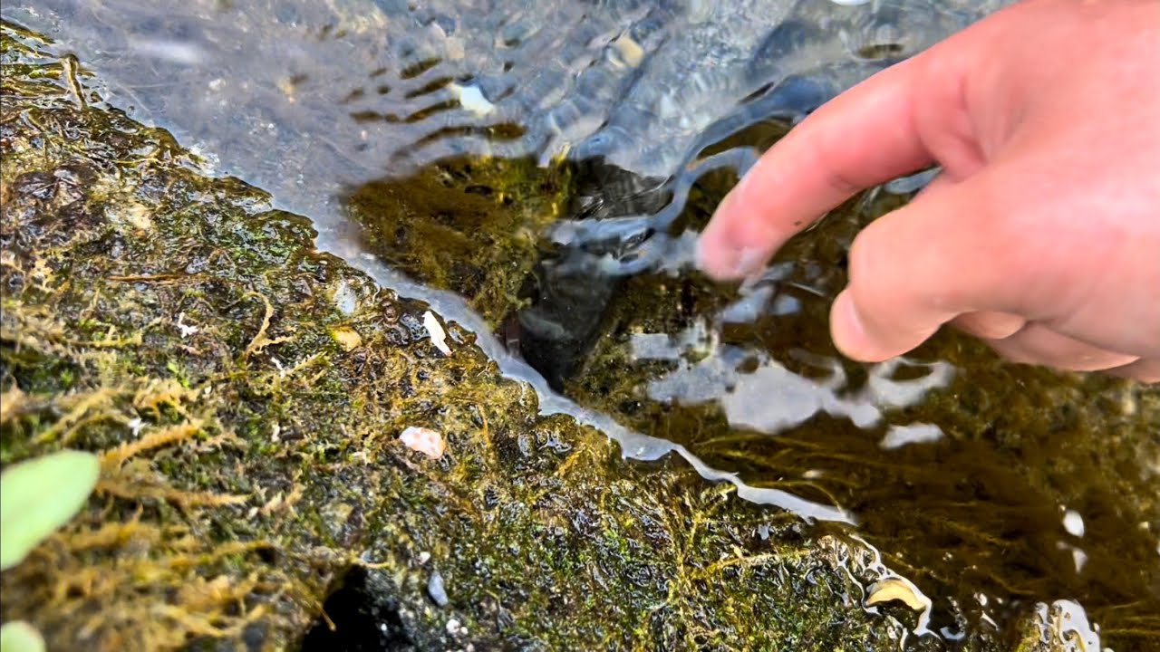 用水路の穴に指を突っ込むと…