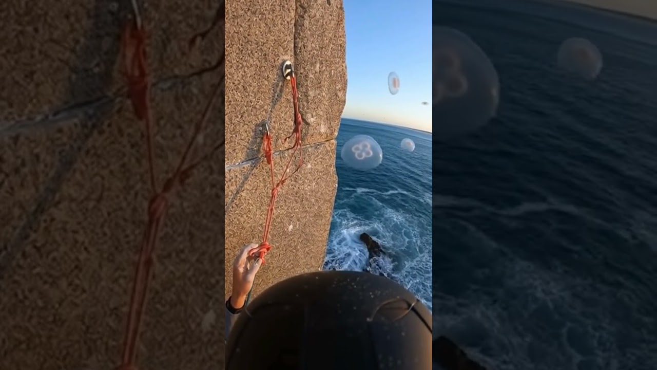 Climbing POV: Jellyfish Drift Through the Cliff #POV #Climb #Surreal