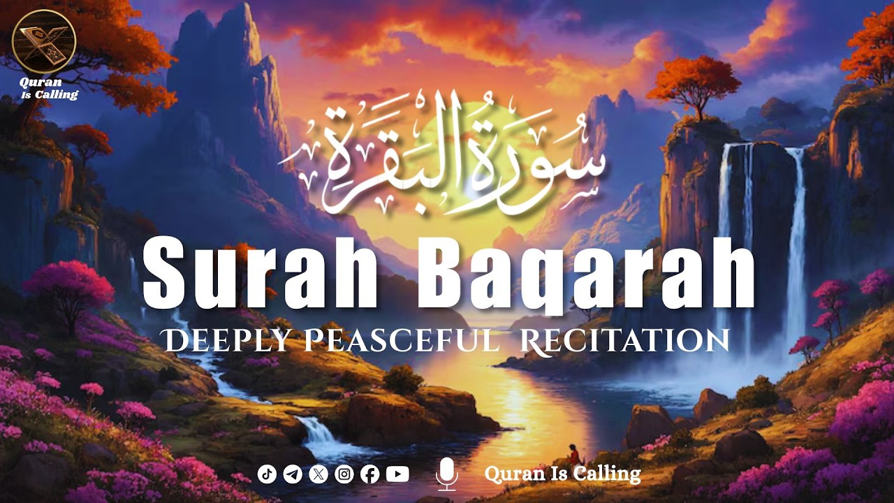 Surah Baqarah Surat Baqarah | سورة البقرة | Quran is Calling