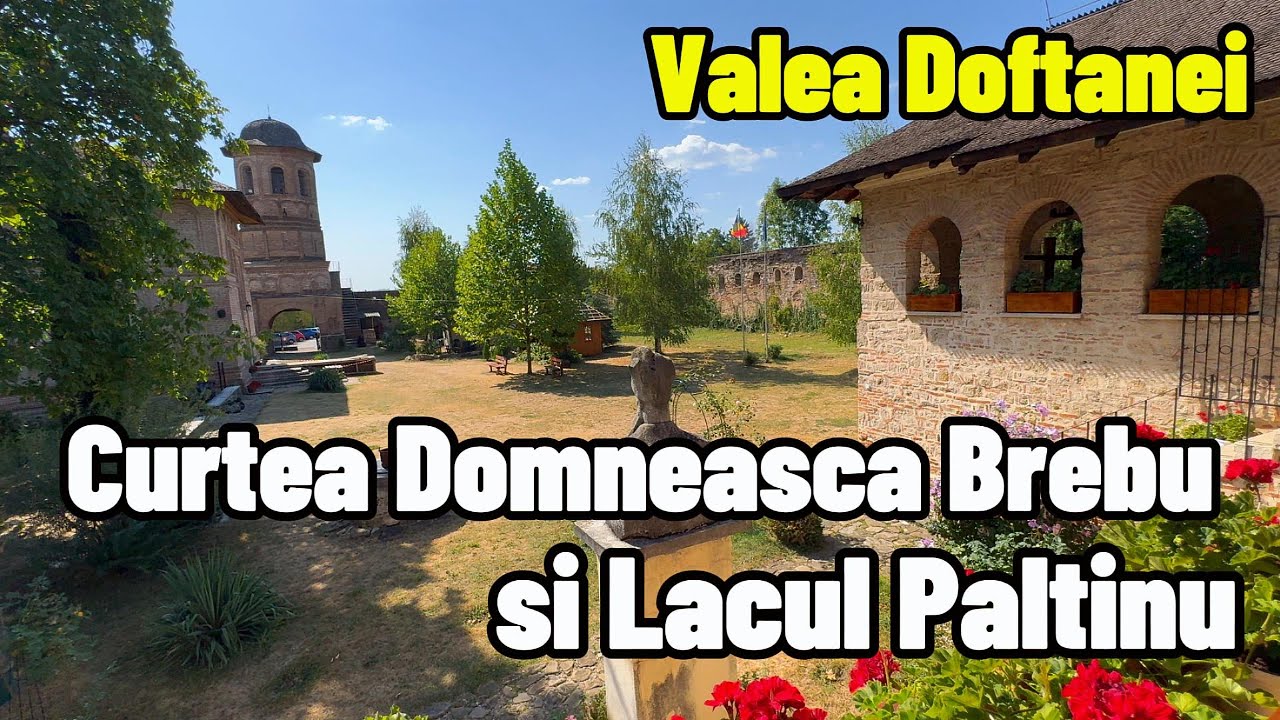 Curtea Domnească Brebu, Prahova, sept 2024 #shortsfeed #shortvideo #shorts #travel #romania #nature
