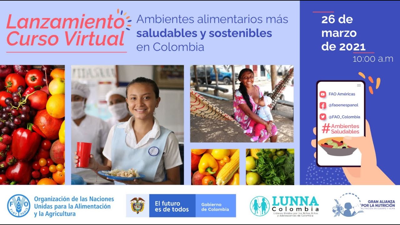 Lanzamiento del Curso Virtual FAO Ambientes Alimentarios más Saludables y Sostenibles en Colombia