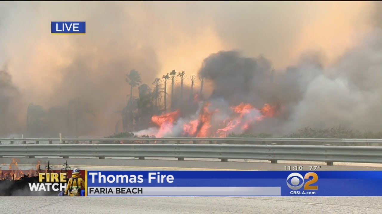 Thomas Fire Jump 101 Freeway In Faria Beach, Flames Engulf Palm Trees Along Freeway