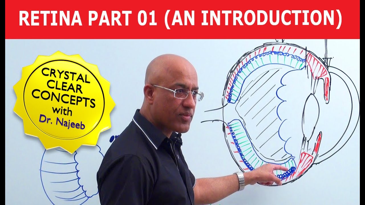 Retina | An Introduction | Part 1