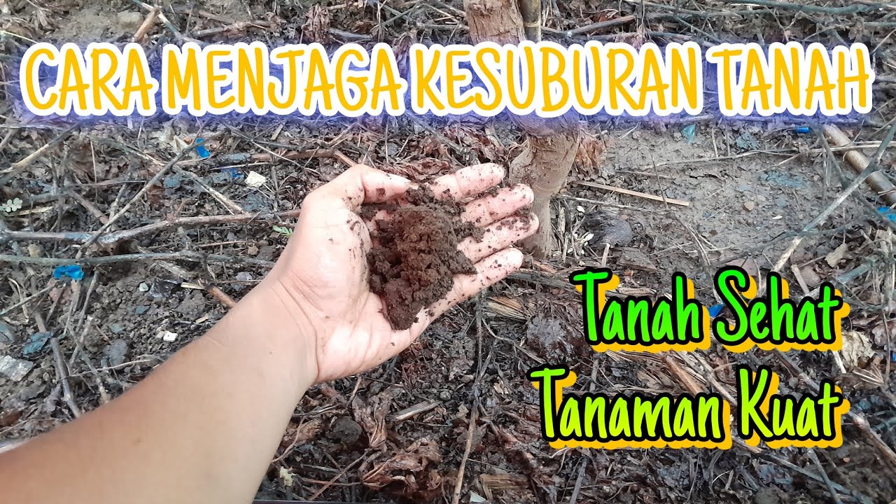 Eps 14 - Tips Menjaga Kesuburan Tanah pada Kebun Anggur