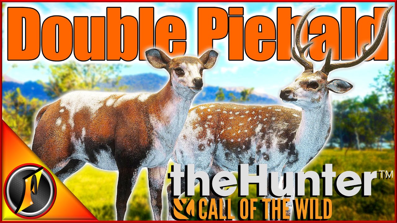 Double PIEBALD on Emerald Coast! | theHunter Call of the Wild