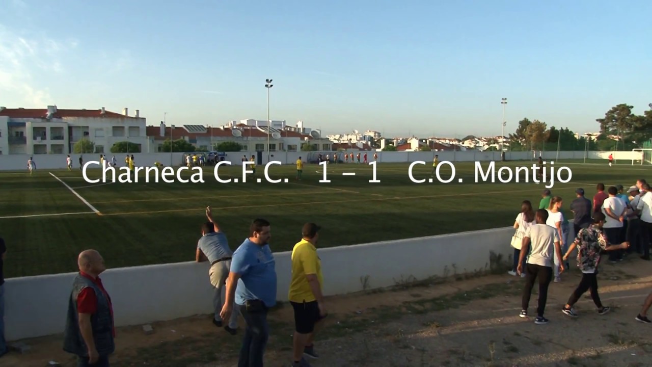 Charneca Caparica  1 - COM  1 / Resumo