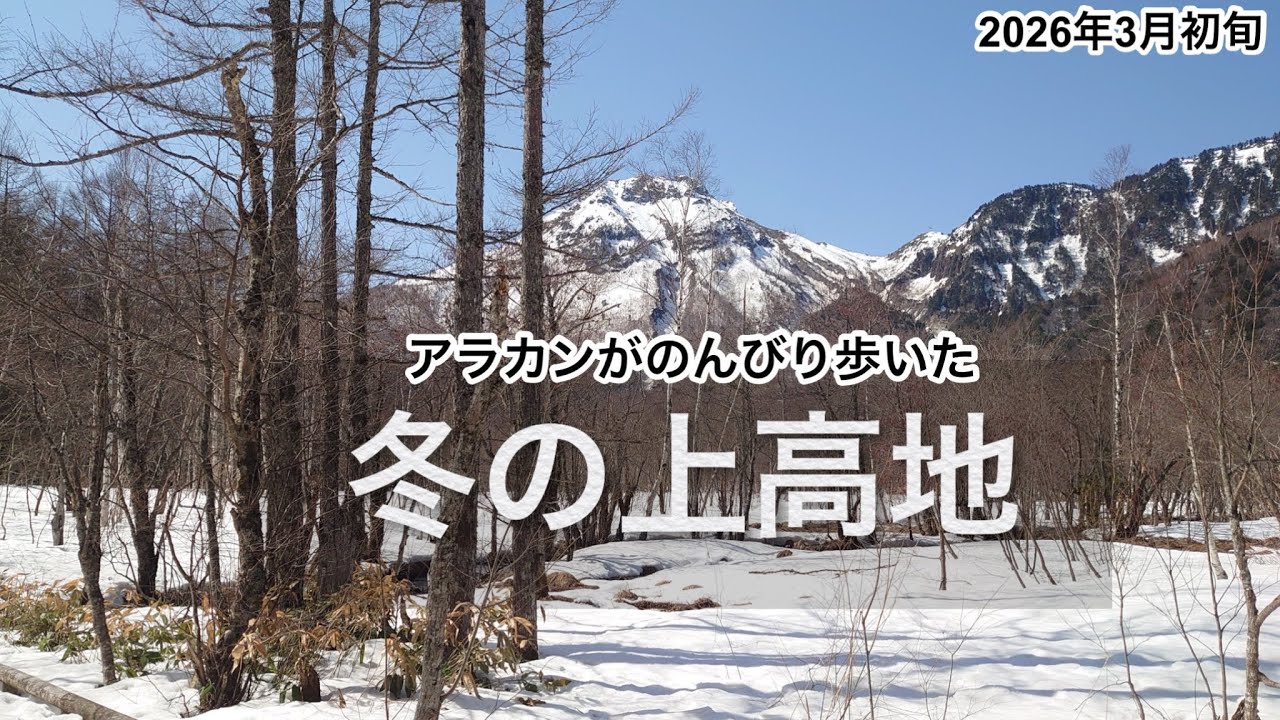 【冬の上高地】アラカンがのんびり歩いた【ソロハイク】【中の湯温泉】2026年3月初旬