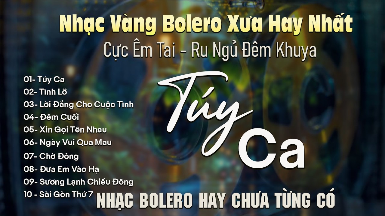 TÚY CA ✨ BOLERO DIỄN QUÂN Giọng Ca Đặc Biệt Hay 2026 ➤ Nhạc Vàng Xưa Bất Hủ Dễ Ngủ Cực Êm Tai