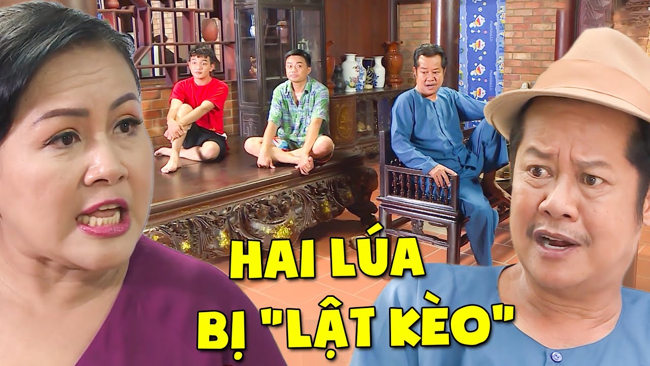 HAI LÚA BỊ 
