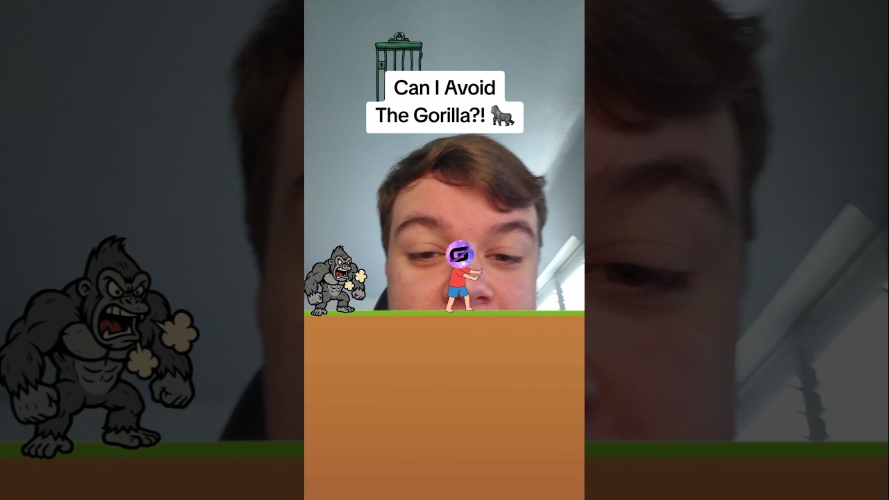 Можно ли избежать встречи с гориллой?! 🦍