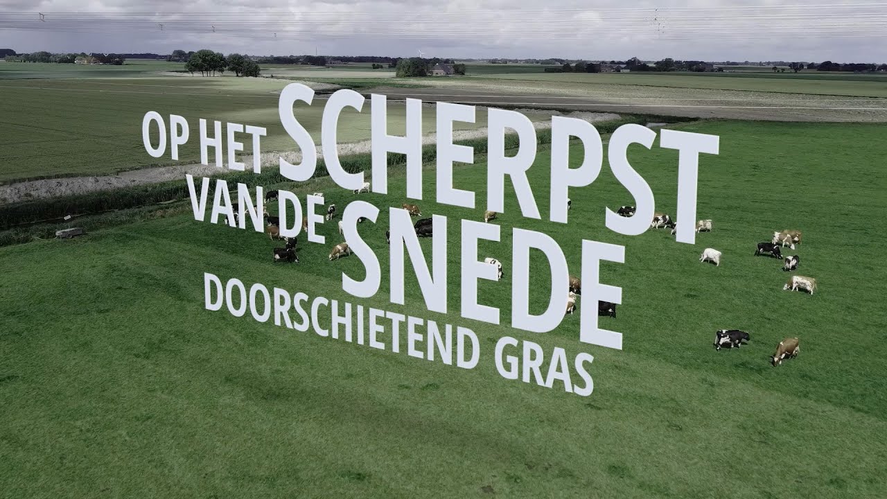 Op het scherpst van de snede, Doorschietend gras