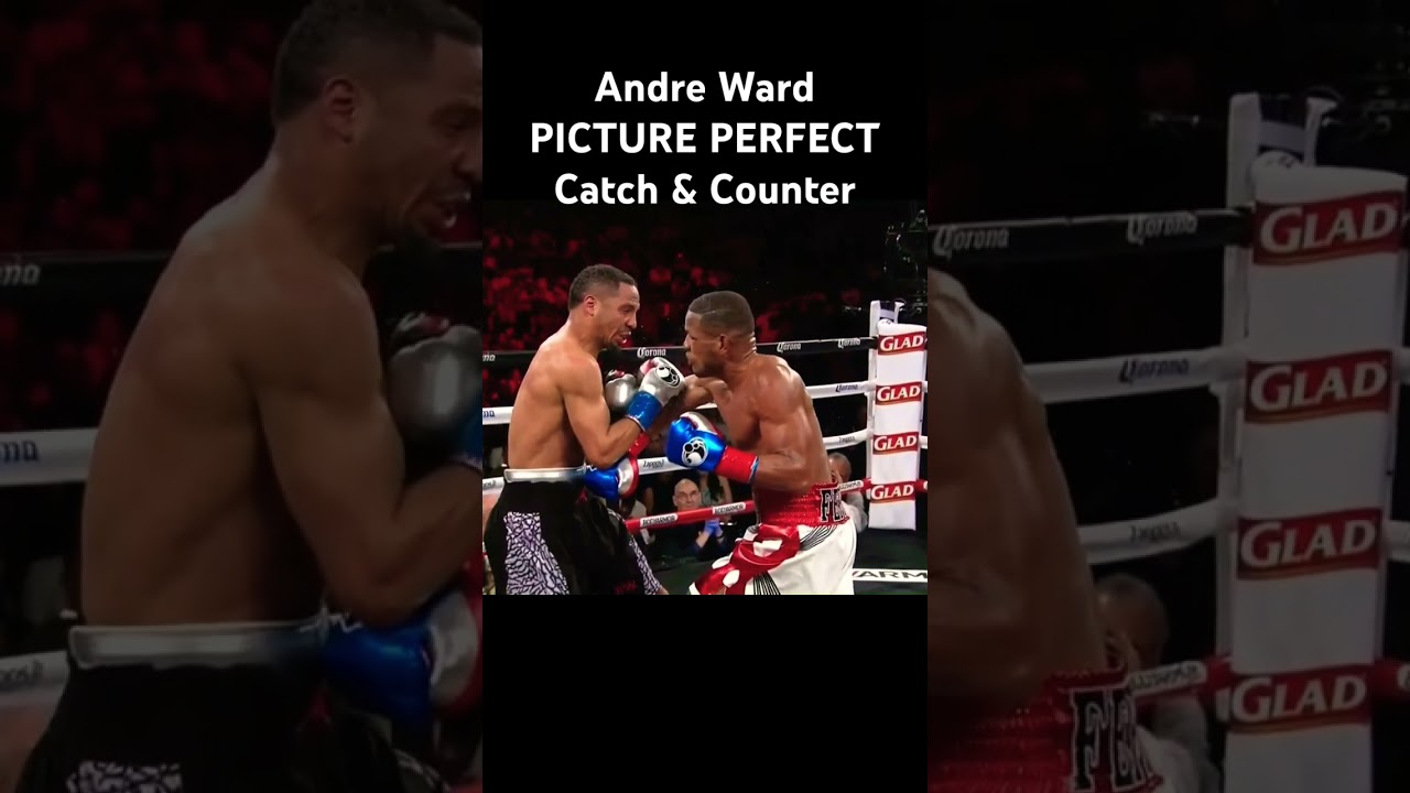 Andre Ward with a picture perfect catch & counter vs Sullivan Barrera