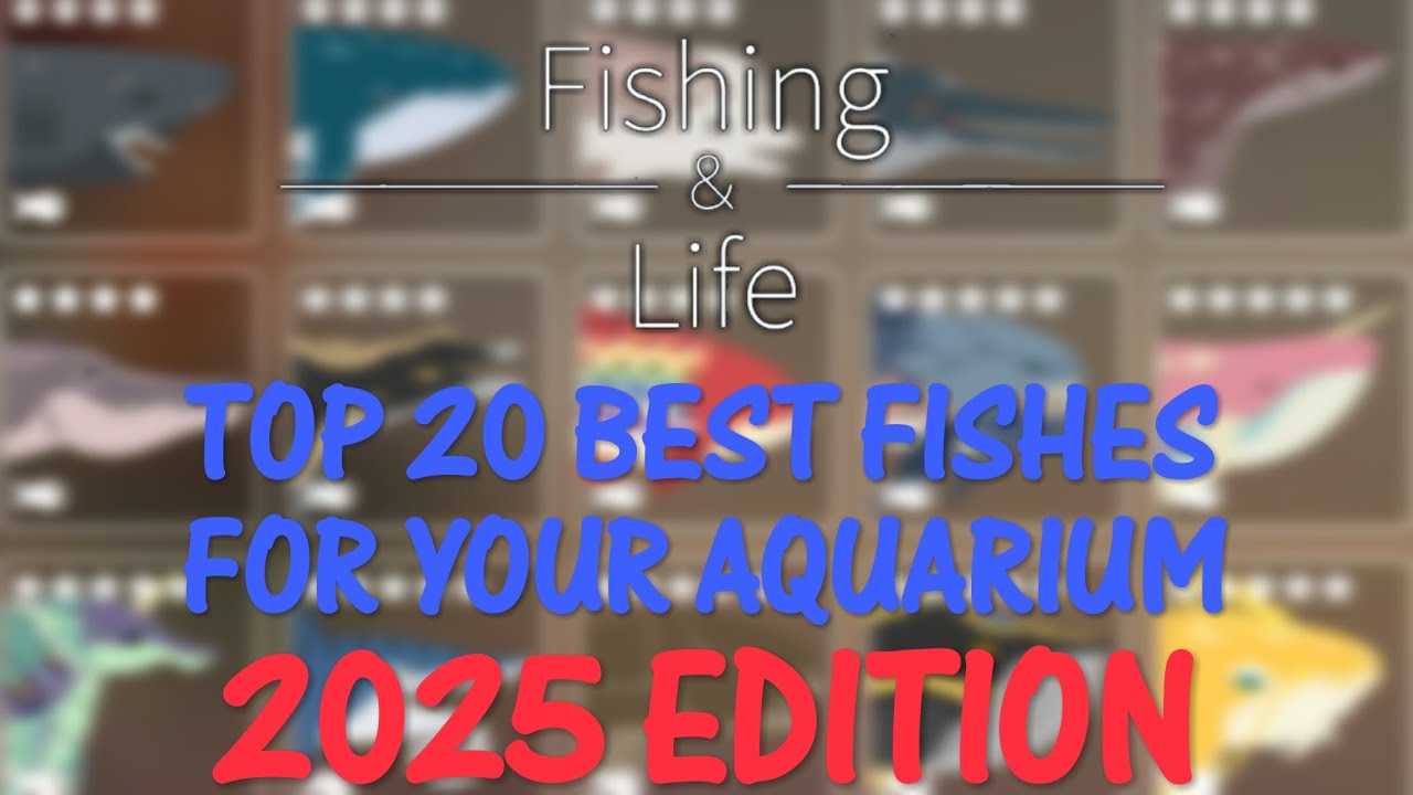 Fishing Life | Top 20 Best Aquarium Fishes for 2025